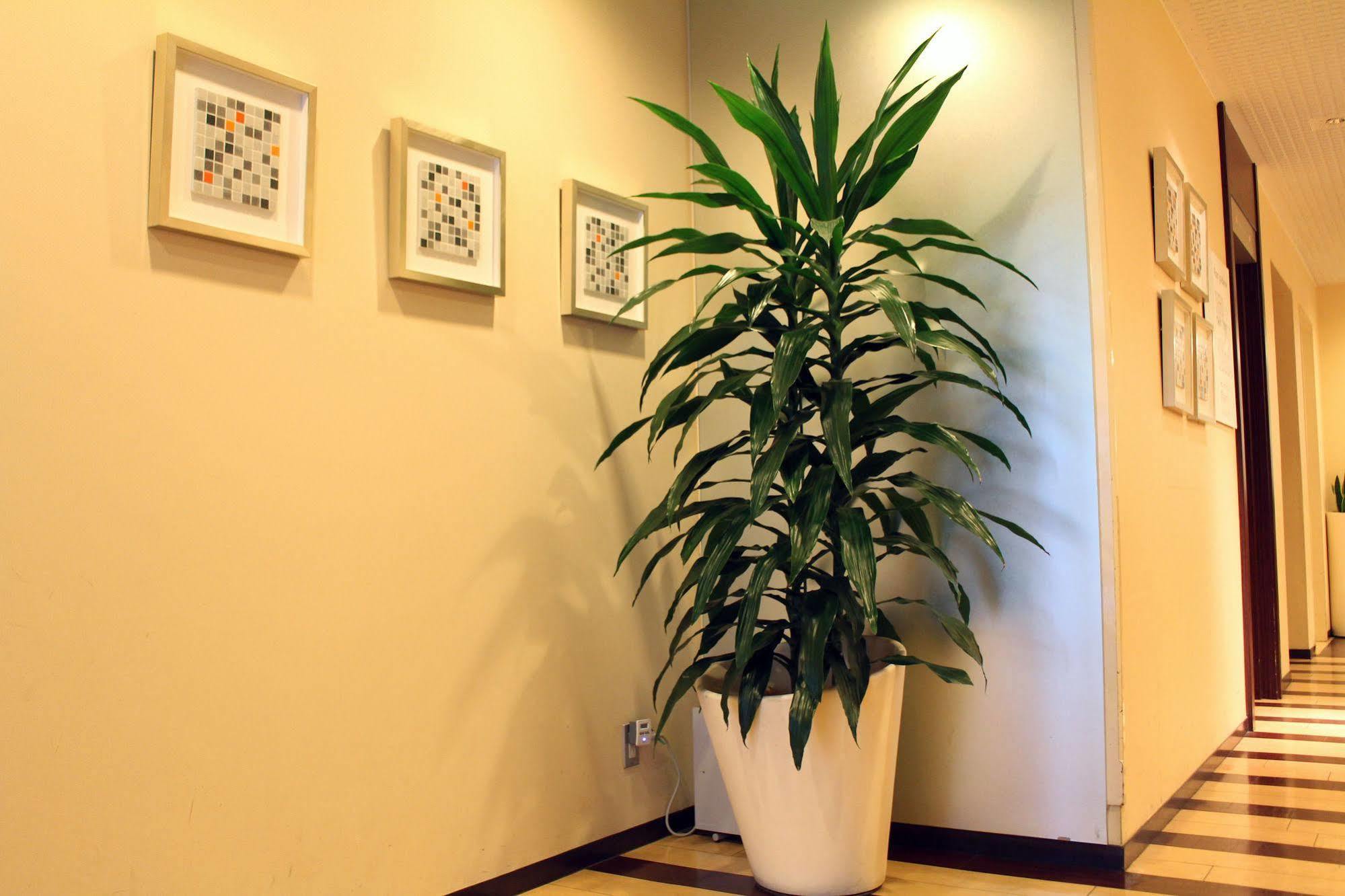 Hotel S-plus Nagoya Sakae Extérieur photo